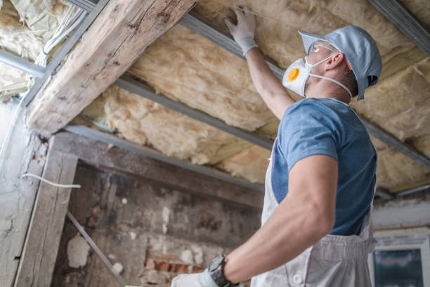 Best Commercial Insulation in Mledgevle, IL