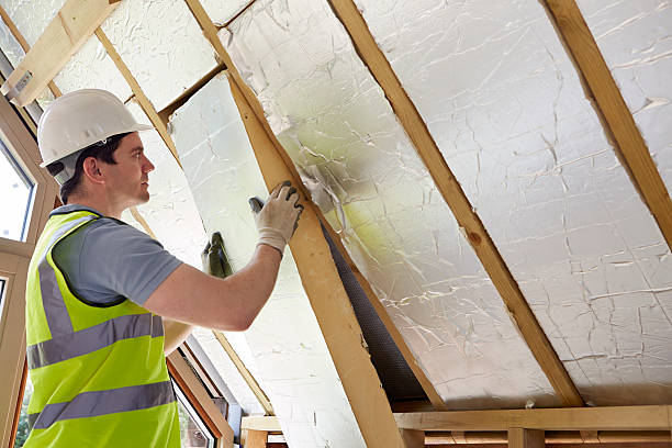 Best Spray Foam Insulation in Mledgevle, IL