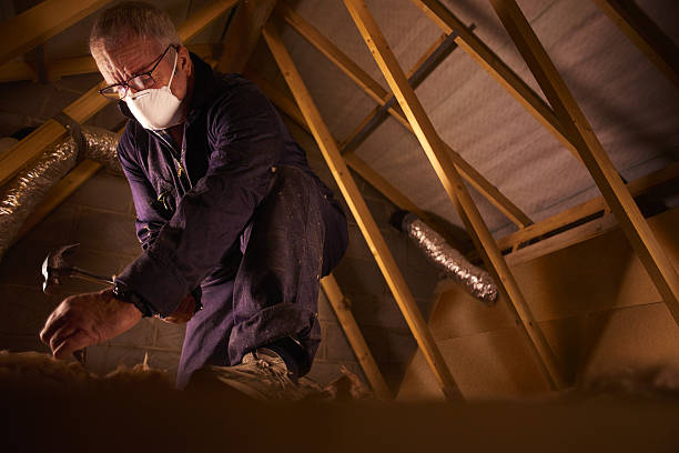 Best Residential Insulation in Mledgevle, IL